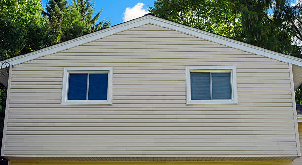 durable window replacement for homes Eva AL